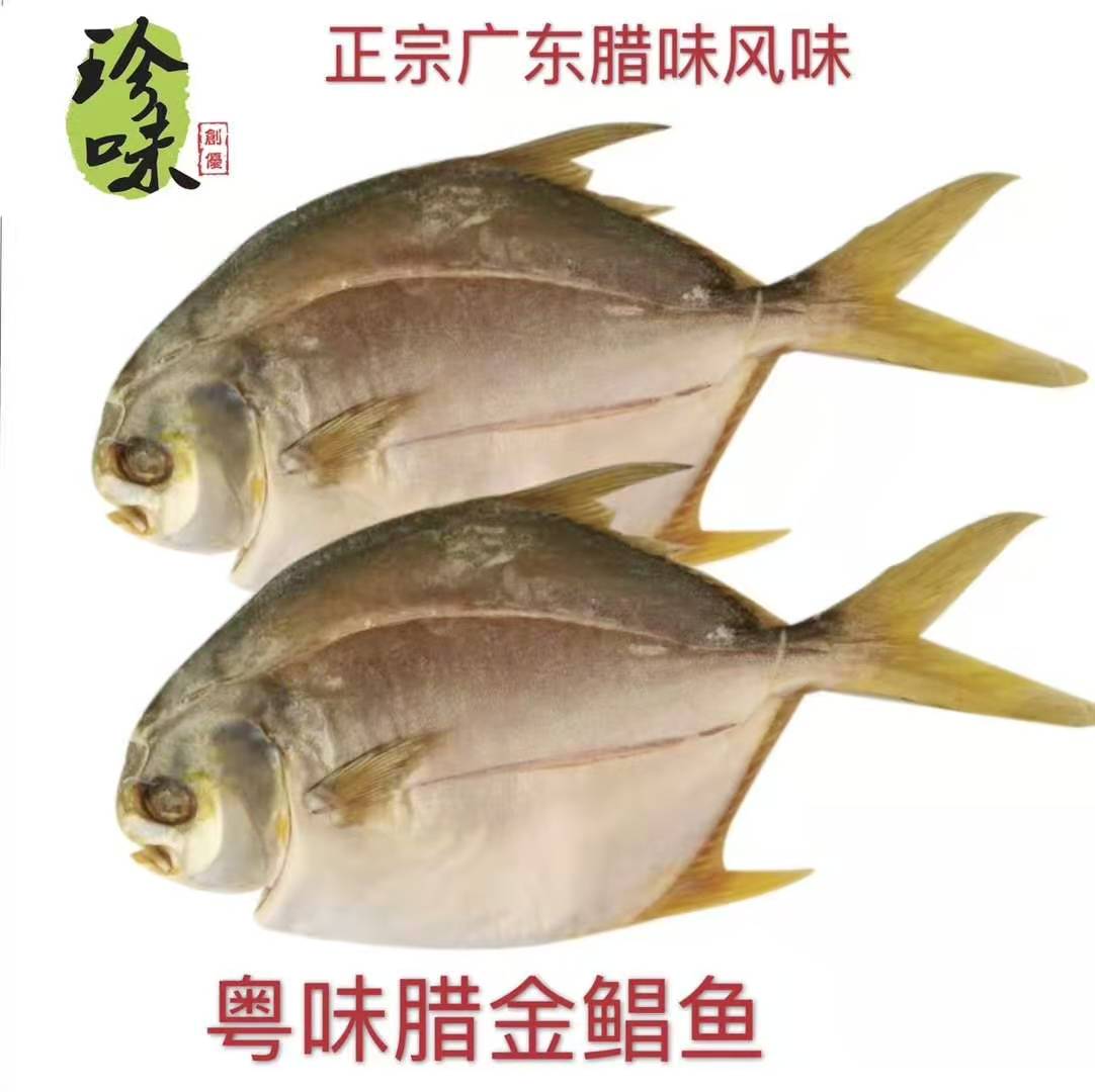 26a5ff53-0a7f-4633-bd10-0538a2345909.jpg